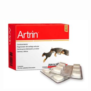 Artrin x 6 comp