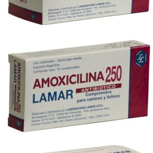 Amoxicilina 250 mg x 10 comp