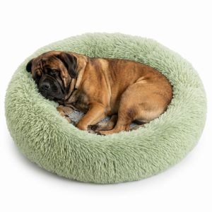 CAMA DONA BEEPAW TERCIOPELO LARGO L VERDE LIMA